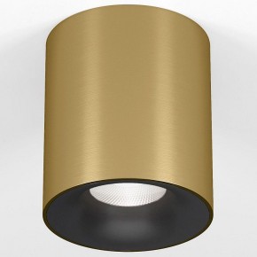 Накладной светильник Elektrostandard Primo 25116/LED в Ишиме - ishim.ok-mebel.com | фото 2