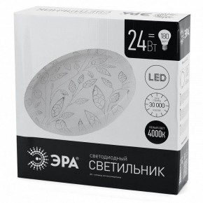 Накладной светильник Эра Классик SPB-6-24-4K (C) в Ишиме - ishim.ok-mebel.com | фото 4
