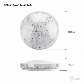 Накладной светильник Эра Классик SPB-6-24-4K (C) в Ишиме - ishim.ok-mebel.com | фото 6
