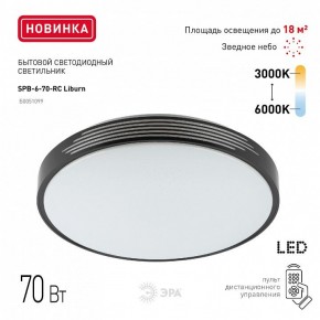 Накладной светильник Эра Классик SPB-6-70-RC Liburn в Ишиме - ishim.ok-mebel.com | фото 10