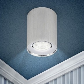 Накладной светильник Эра  OL1 GU10 SL/CH в Ишиме - ishim.ok-mebel.com | фото 3