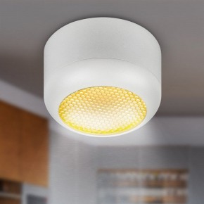 Накладной светильник Эра  OL56 WH в Ишиме - ishim.ok-mebel.com | фото 8