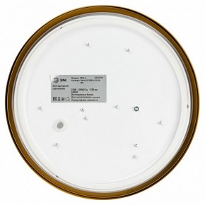 Накладной светильник Эра Relict Relict 22 SPB-6-20 4К MG в Ишиме - ishim.ok-mebel.com | фото 4