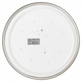 Накладной светильник Эра Relict Relict 38 SPB-6-40 4К WH в Ишиме - ishim.ok-mebel.com | фото 4