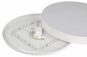Накладной светильник Эра Relict Relict 38 SPB-6-40 4К WH в Ишиме - ishim.ok-mebel.com | фото 7