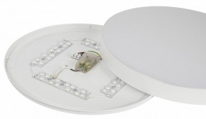 Накладной светильник Эра Relict Relict 48 Pult SPB-6-60-RC WH в Ишиме - ishim.ok-mebel.com | фото 11