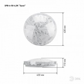 Накладной светильник Эра Relict SPB-6-50-6,5K Syuzi в Ишиме - ishim.ok-mebel.com | фото 3