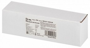 Накладной светильник Эра  TRM-S5-1-6W4K-BK в Ишиме - ishim.ok-mebel.com | фото 6