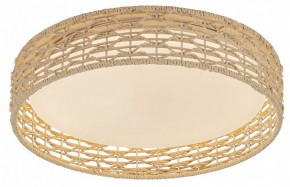 Накладной светильник F-promo Conrad 4749-4C в Ишиме - ishim.ok-mebel.com | фото 2