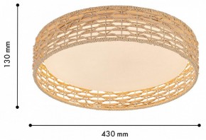 Накладной светильник F-promo Conrad 4749-4C в Ишиме - ishim.ok-mebel.com | фото 3