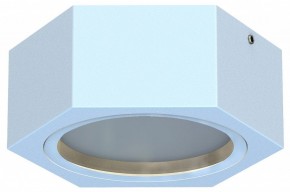Накладной светильник Favourite Fantum 4665-1U в Ишиме - ishim.ok-mebel.com | фото