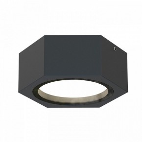 Накладной светильник Favourite Fantum 4667-1U в Ишиме - ishim.ok-mebel.com | фото 2