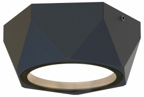 Накладной светильник Favourite Fantum 4670-1U в Ишиме - ishim.ok-mebel.com | фото