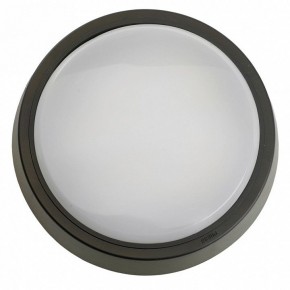 Накладной светильник Feron AL3020 51474 в Ишиме - ishim.ok-mebel.com | фото 4
