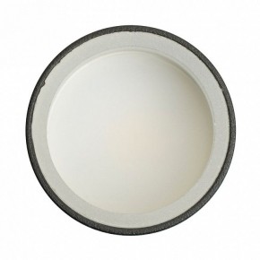 Накладной светильник Feron ML100 51369 в Ишиме - ishim.ok-mebel.com | фото 8