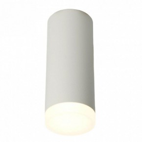 Накладной светильник Feron ML102 51389 в Ишиме - ishim.ok-mebel.com | фото 2