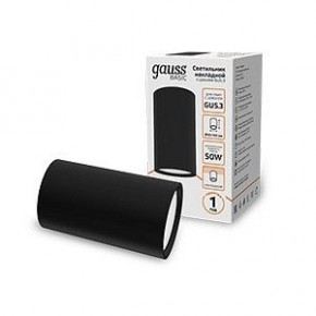 Накладной светильник Gauss Basic HD063 в Ишиме - ishim.ok-mebel.com | фото 2