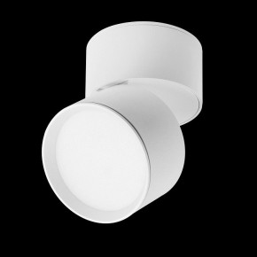 Накладной светильник Lightstar Acuto 215836 в Ишиме - ishim.ok-mebel.com | фото 3