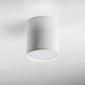 Накладной светильник Lightstar Acuto 215886 в Ишиме - ishim.ok-mebel.com | фото 3