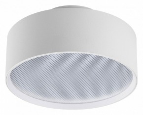 Накладной светильник Lightstar Acuto 215936 в Ишиме - ishim.ok-mebel.com | фото
