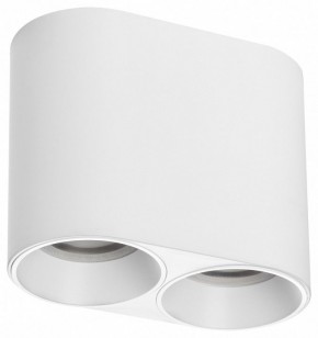 Накладной светильник Lightstar Rullo 213466 в Ишиме - ishim.ok-mebel.com | фото