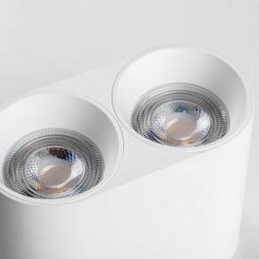 Накладной светильник Lightstar Rullo 213466 в Ишиме - ishim.ok-mebel.com | фото 6