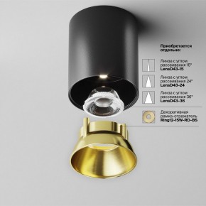 Накладной светильник Maytoni Alfa LED C064CL-12W4K-RD-B в Ишиме - ishim.ok-mebel.com | фото 3