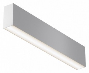 Накладной светильник Maytoni Basis C068CL-20W3-6K-W в Ишиме - ishim.ok-mebel.com | фото