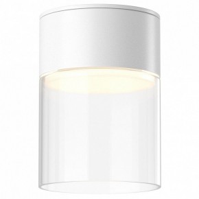Накладной светильник Maytoni Glory C094CL-GX53-W в Ишиме - ishim.ok-mebel.com | фото