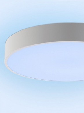 Накладной светильник Natali Kovaltseva MODERN LED LAMPS 81105/1C в Ишиме - ishim.ok-mebel.com | фото 11