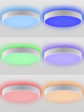 Накладной светильник Natali Kovaltseva MODERN LED LAMPS 81105/1C в Ишиме - ishim.ok-mebel.com | фото 4