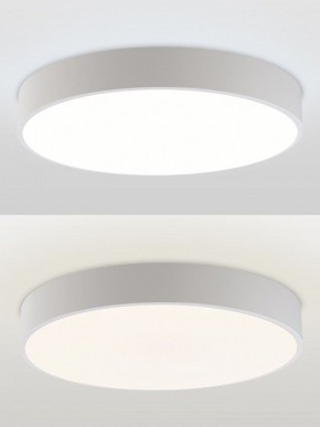 Накладной светильник Natali Kovaltseva MODERN LED LAMPS 81105/1C в Ишиме - ishim.ok-mebel.com | фото 5