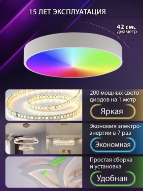 Накладной светильник Natali Kovaltseva MODERN LED LAMPS 81105/1C в Ишиме - ishim.ok-mebel.com | фото 6
