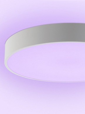 Накладной светильник Natali Kovaltseva MODERN LED LAMPS 81105/1C в Ишиме - ishim.ok-mebel.com | фото 9