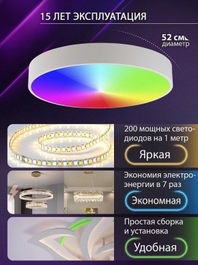 Накладной светильник Natali Kovaltseva MODERN LED LAMPS 81105/2C в Ишиме - ishim.ok-mebel.com | фото 6