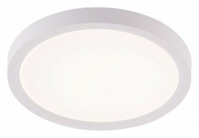 Накладной светильник Natali Kovaltseva PLAIN LED LAMPS 81113/1C в Ишиме - ishim.ok-mebel.com | фото