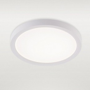 Накладной светильник Natali Kovaltseva PLAIN LED LAMPS 81113/1C в Ишиме - ishim.ok-mebel.com | фото 2