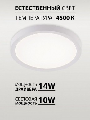 Накладной светильник Natali Kovaltseva PLAIN LED LAMPS 81113/1C в Ишиме - ishim.ok-mebel.com | фото 4