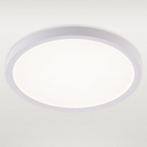 Накладной светильник Natali Kovaltseva PLAIN LED LAMPS 81113/2C в Ишиме - ishim.ok-mebel.com | фото 2