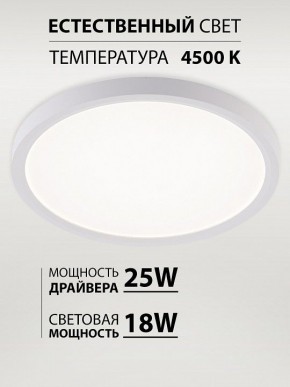 Накладной светильник Natali Kovaltseva PLAIN LED LAMPS 81113/2C в Ишиме - ishim.ok-mebel.com | фото 3