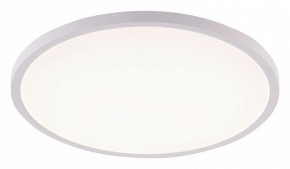 Накладной светильник Natali Kovaltseva PLAIN LED LAMPS 81113/4C в Ишиме - ishim.ok-mebel.com | фото