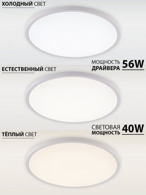 Накладной светильник Natali Kovaltseva PLAIN LED LAMPS 81113/5C в Ишиме - ishim.ok-mebel.com | фото 3