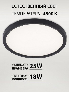Накладной светильник Natali Kovaltseva PLAIN LED LAMPS 81114/2C в Ишиме - ishim.ok-mebel.com | фото 3