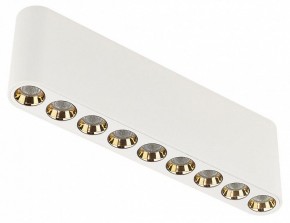 Накладной светильник Odeon Light Small 7091/21CL в Ишиме - ishim.ok-mebel.com | фото