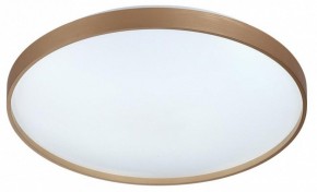 Накладной светильник Sonex Gaby 7783/EL в Ишиме - ishim.ok-mebel.com | фото 4