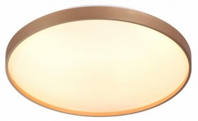 Накладной светильник Sonex Gaby 7783/EL в Ишиме - ishim.ok-mebel.com | фото 5