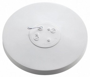 Накладной светильник Sonex Gamma 7759/36L в Ишиме - ishim.ok-mebel.com | фото 3