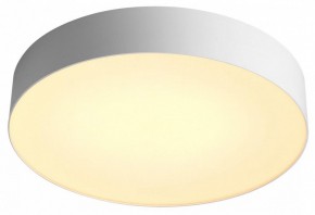 Накладной светильник Sonex Optima 7779/DL в Ишиме - ishim.ok-mebel.com | фото 6