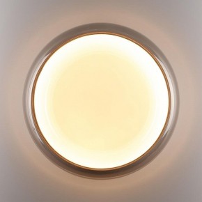Накладной светильник Sonex PORTMAN 7777/DLN в Ишиме - ishim.ok-mebel.com | фото 6