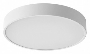 Накладной светильник Sonex Quasar 7755/36L в Ишиме - ishim.ok-mebel.com | фото
